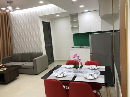 apartment for rent in the masteri district 2 HCMC (5)